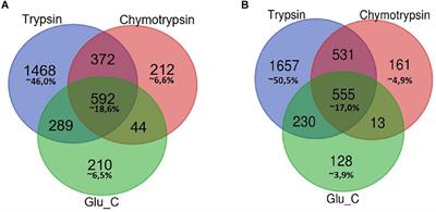 Exploring the HeLa Dark Mitochondrial Proteome